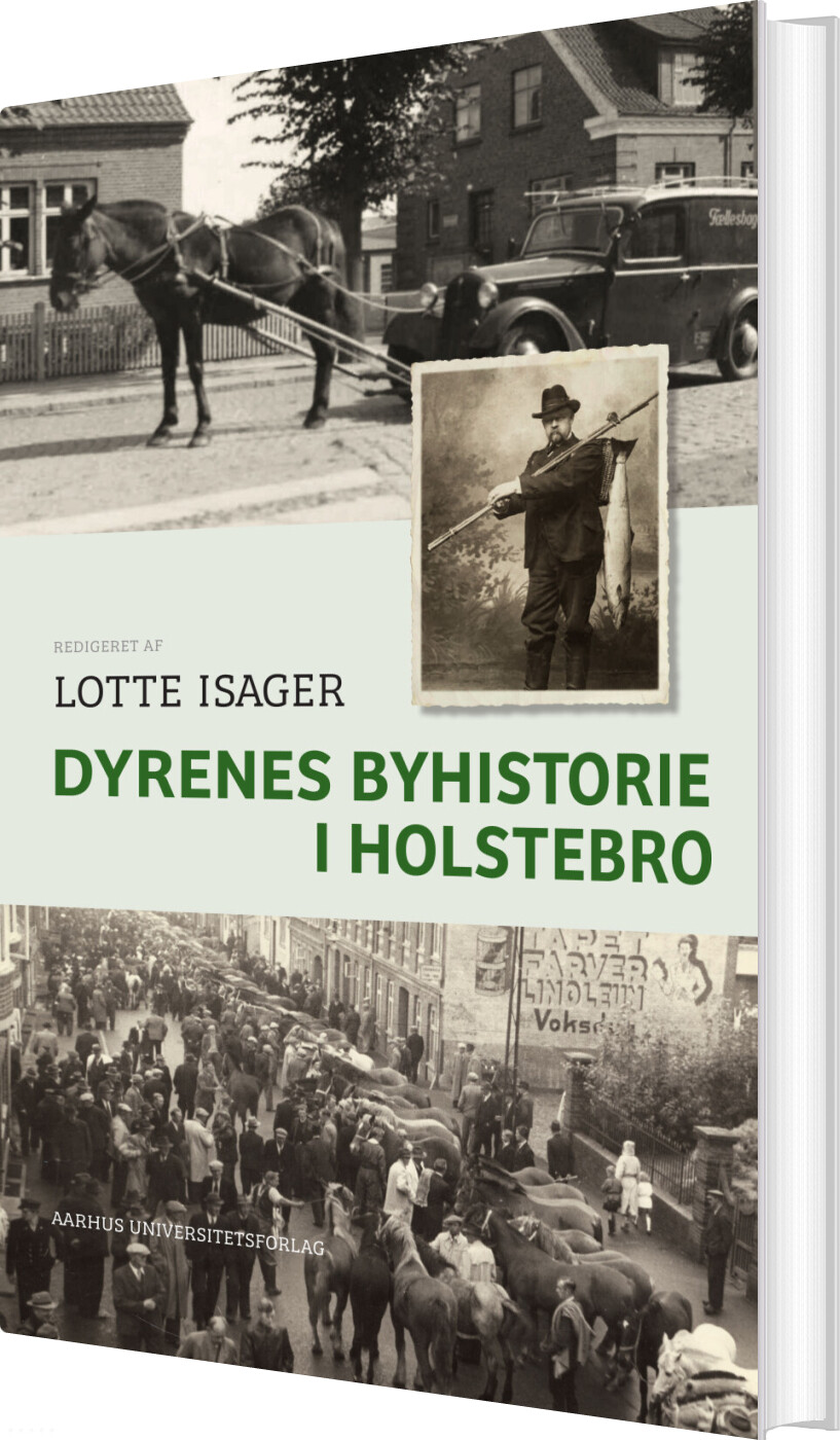 Dyrenes Byhistorie I Holstebro - Lotte Isager - Bog