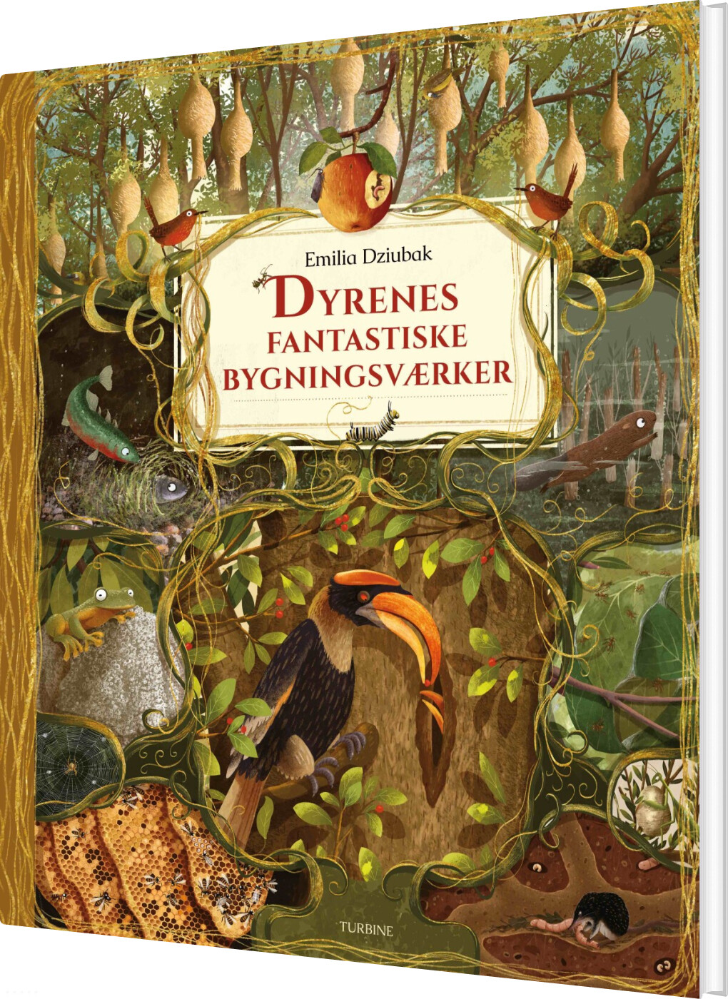 Billede af Dyrenes Fantastiske Bygningsværker - Emilia Dziubak - Bog