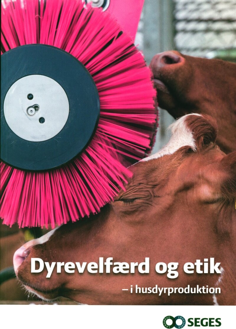 Dyrevelfærd Og Etik - I Husdyrproduktion - Peter Sandøe - Bog