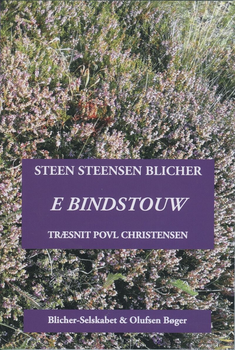 Billede af E Bindstouw - Steen Steensen Blicher - Bog