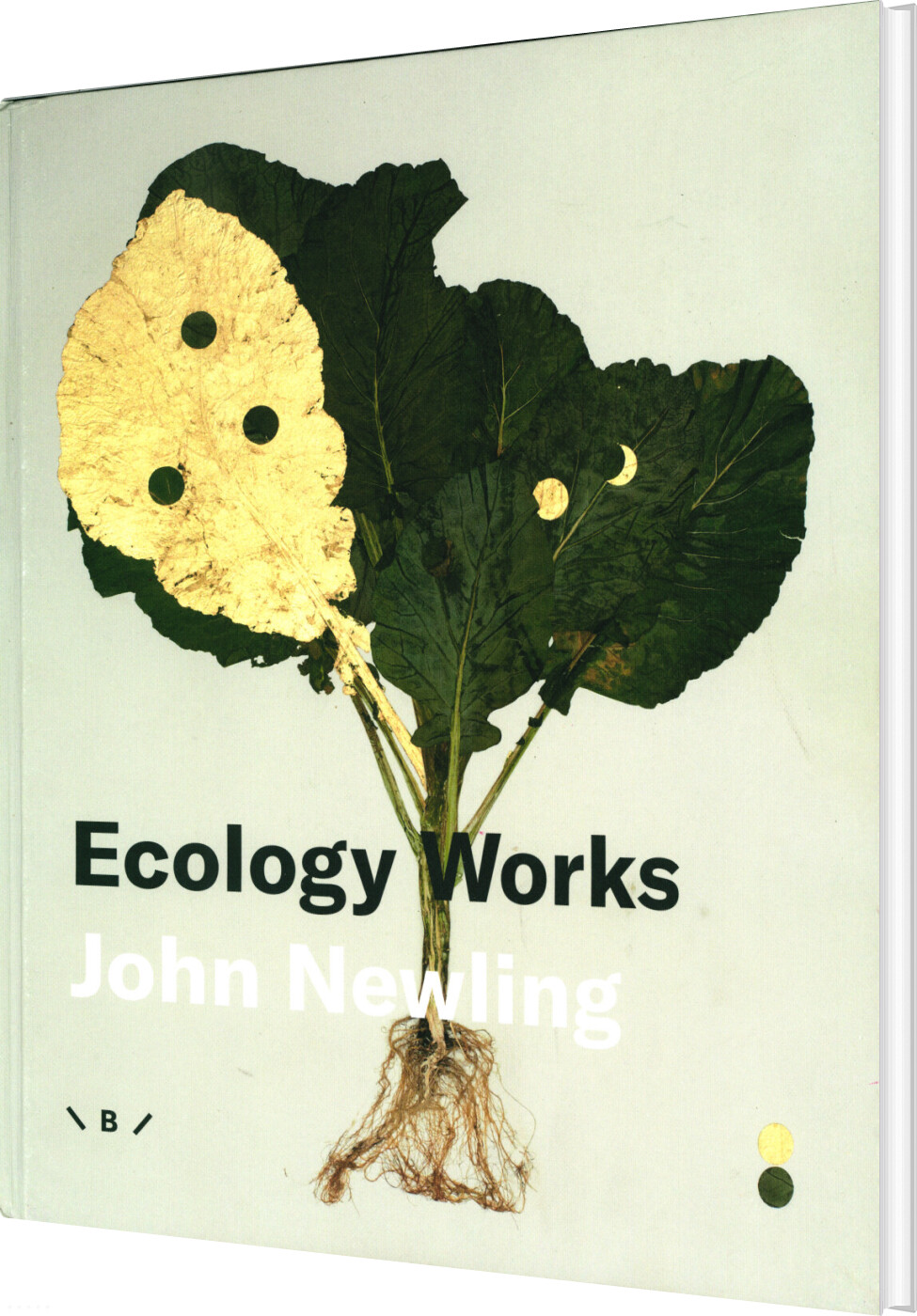 Ecology Works - John Newling - English Book