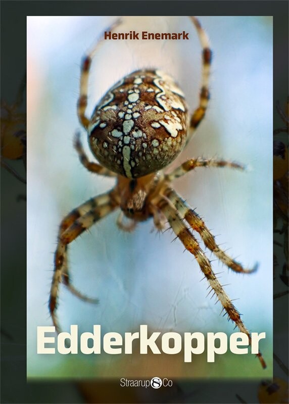 Edderkopper - Henrik Enemark - Bog - Straarup & Co