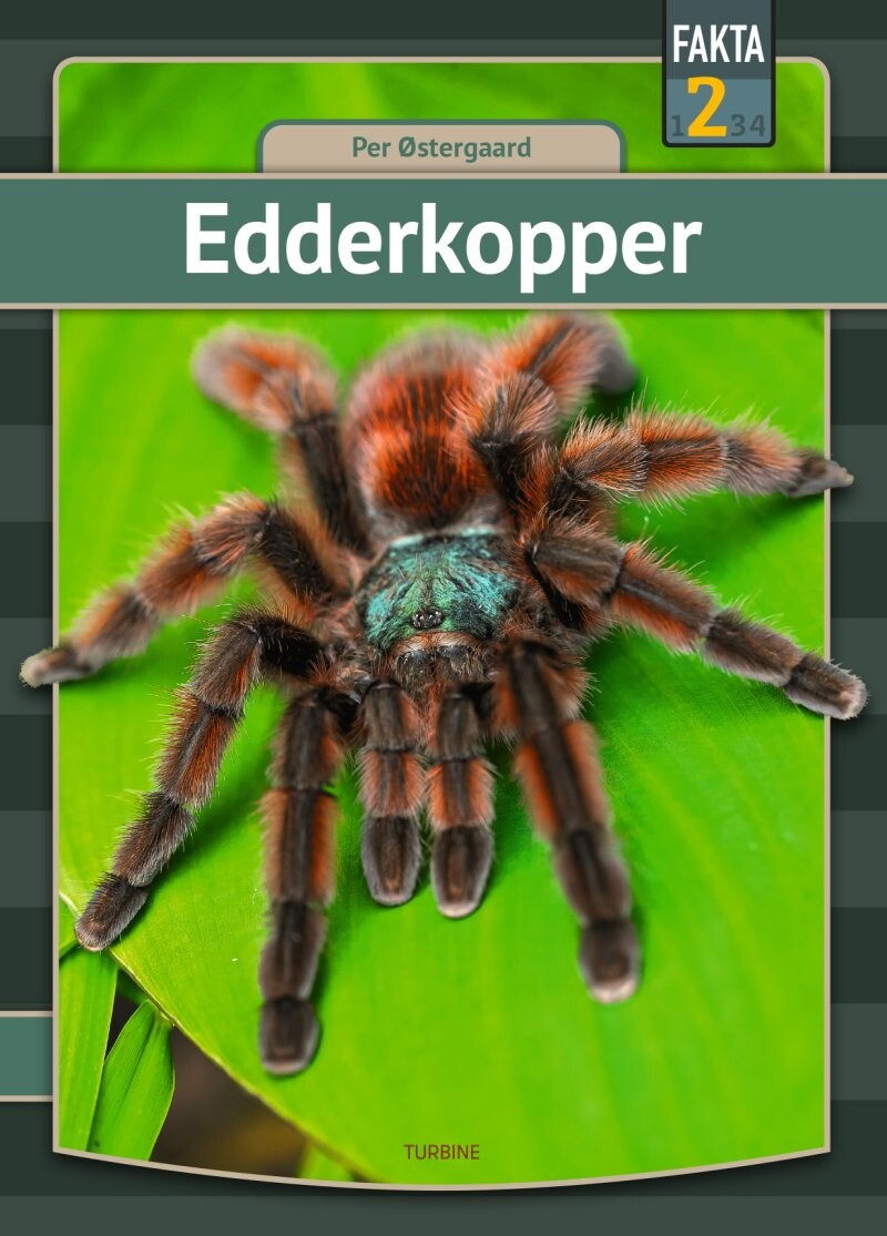 Billede af Edderkopper - Per østergaard - Bog