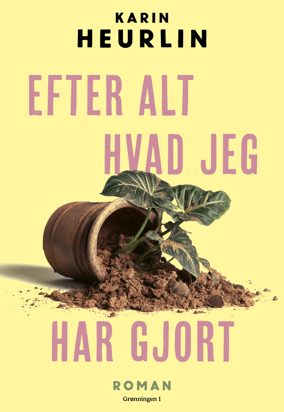 Efter Alt Hvad Jeg Har Gjort - Karin Heurlin - Bog