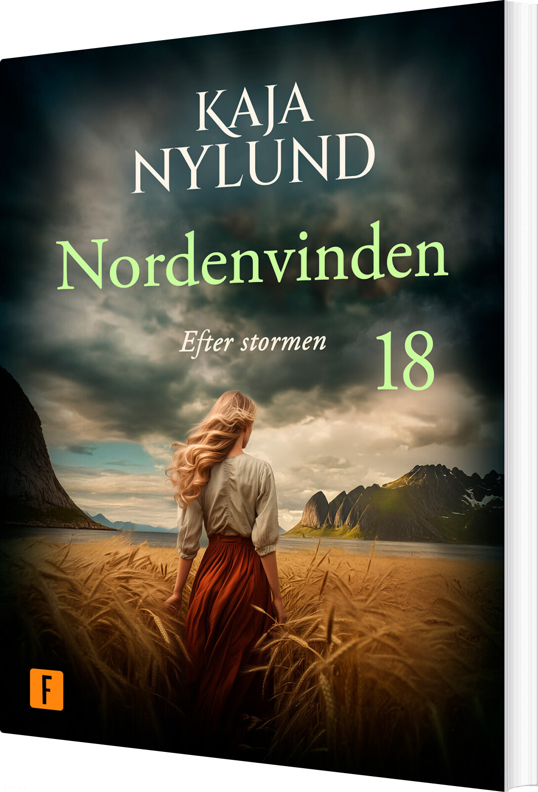 Efter Stormen - Kaja Nylund - Bog