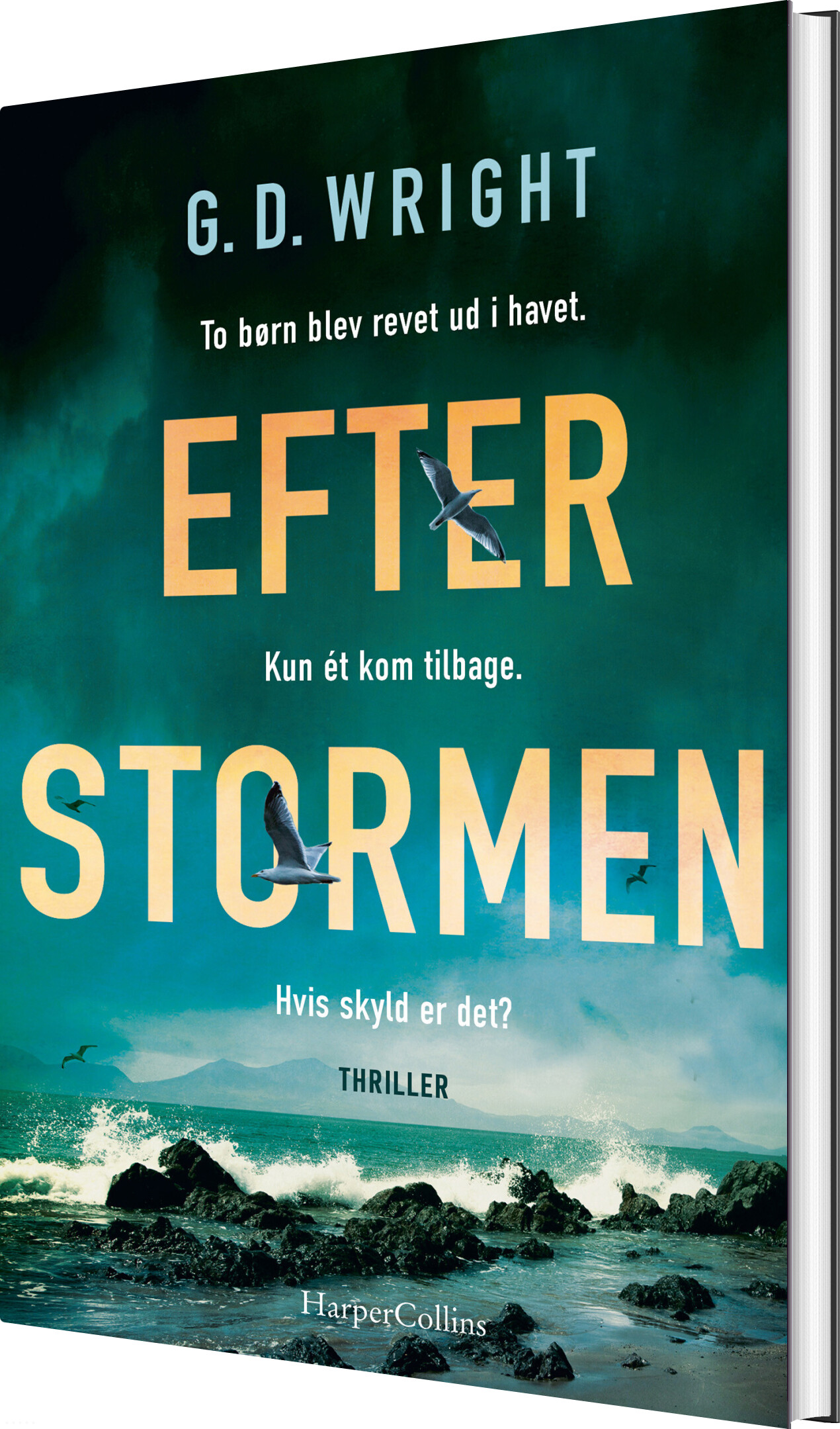Efter Stormen - G. D. Wright - Bog