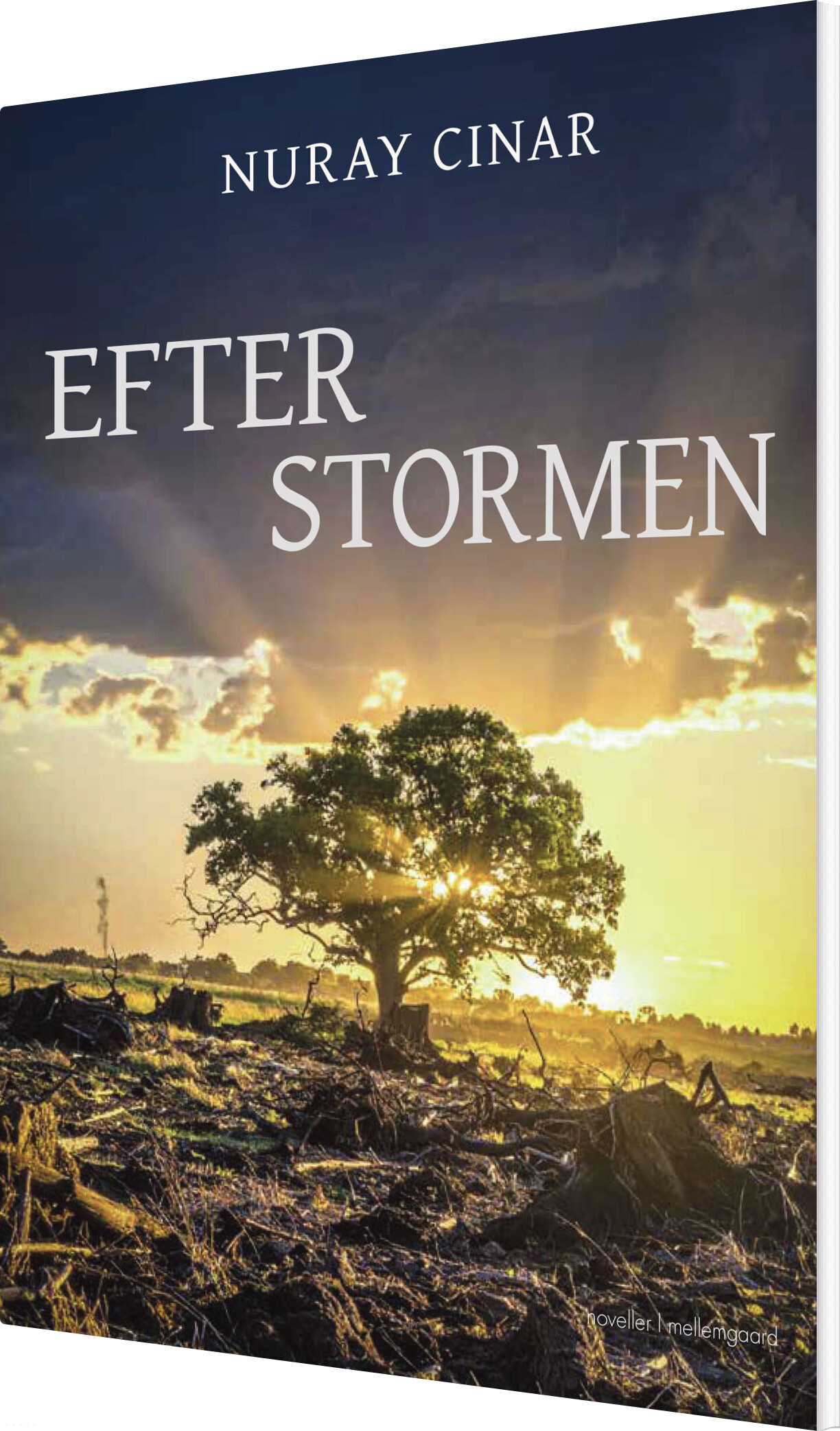 Efter Stormen - Nuray Cinar - Bog