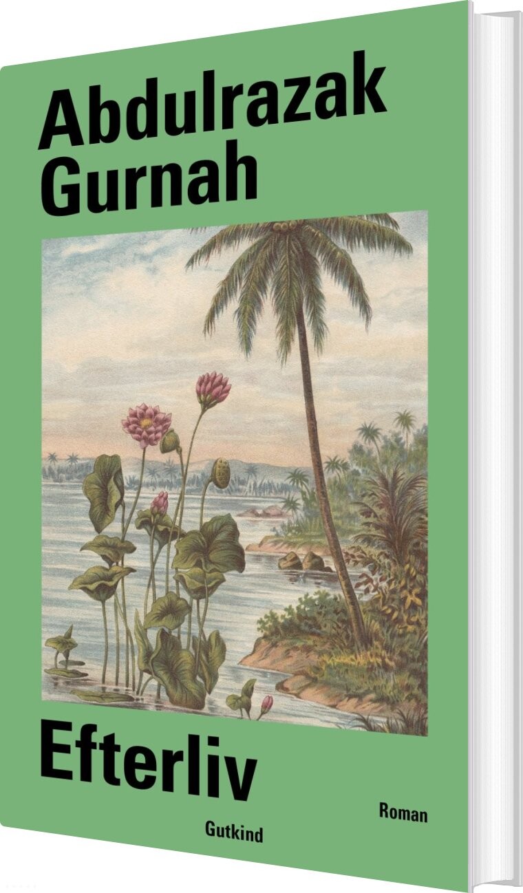 Billede af Efterliv - Abdulrazak Gurnah - Bog