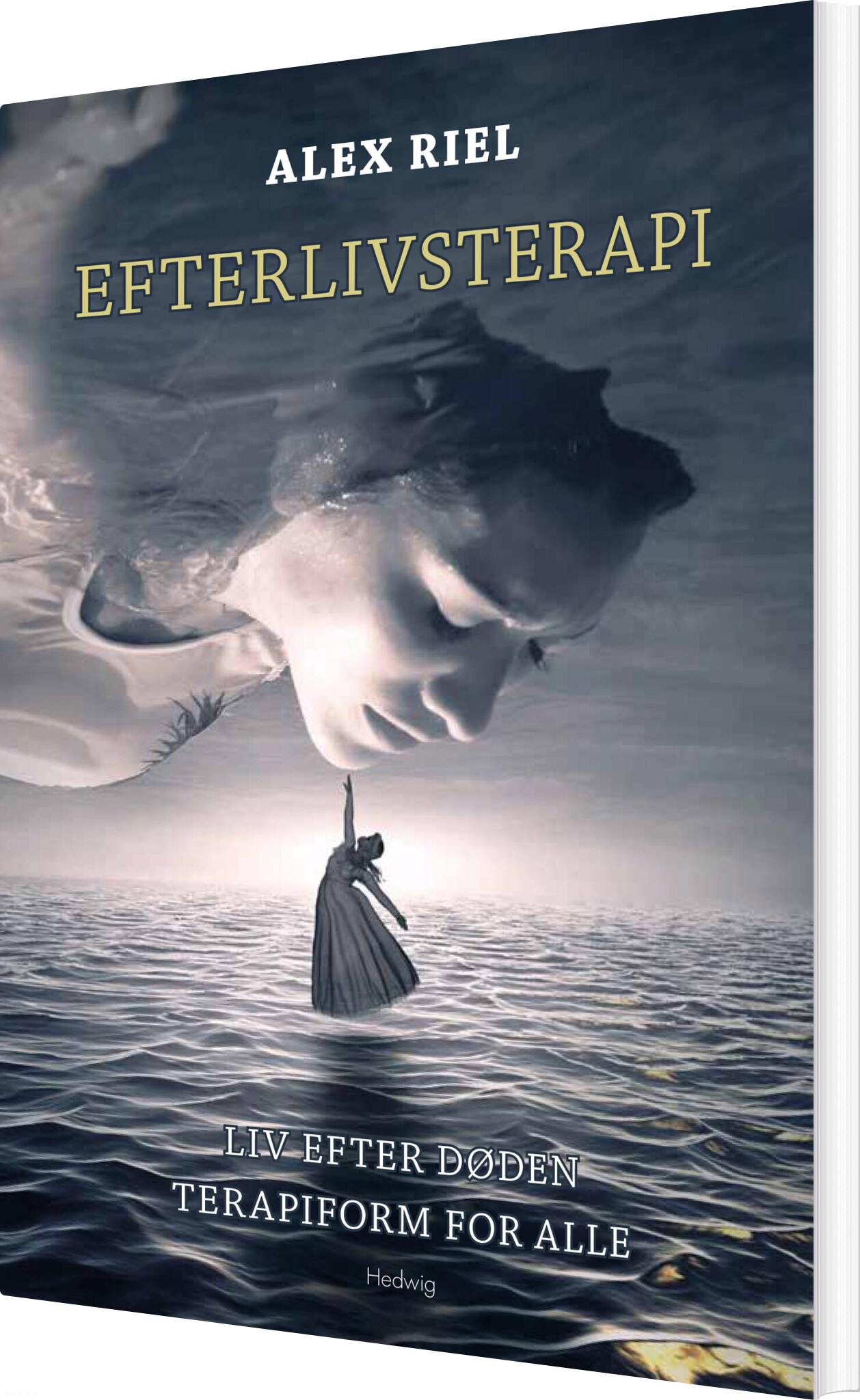 Billede af Efterlivsterapi - Alex Riel - Bog
