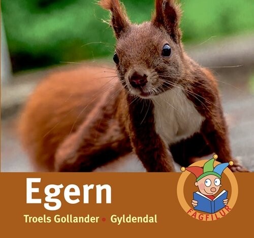 Se Egern hos Gucca.dk