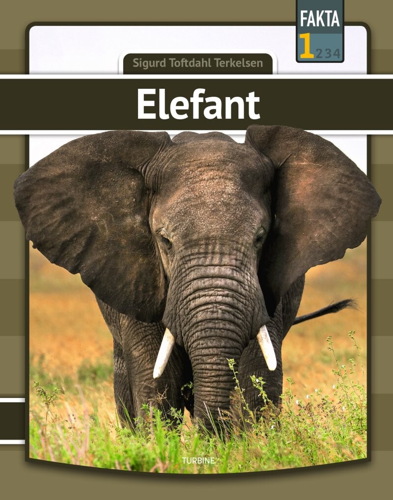 Billede af Elefant - Sigurd Toftdahl Terkelsen - Bog