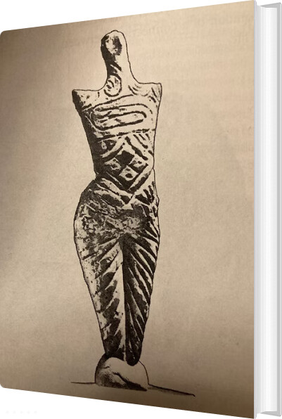 Elegier Over Jorden - Sofie Isager Ahl - Bog