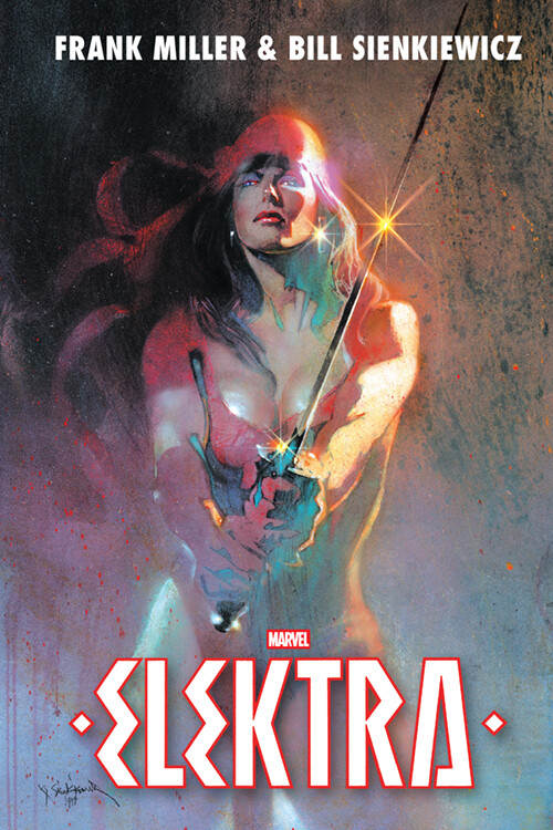 Elektra - Frank Miller - Bog