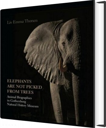 Billede af Elephants Are Not Picked From Trees - Liv Emma Thorsen - English Book