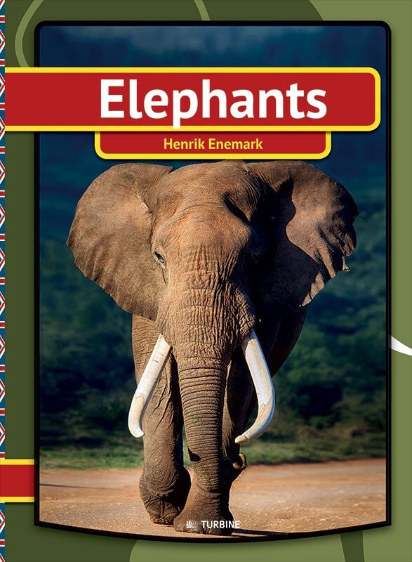 Billede af Elephants - Henrik Enemark - English Book