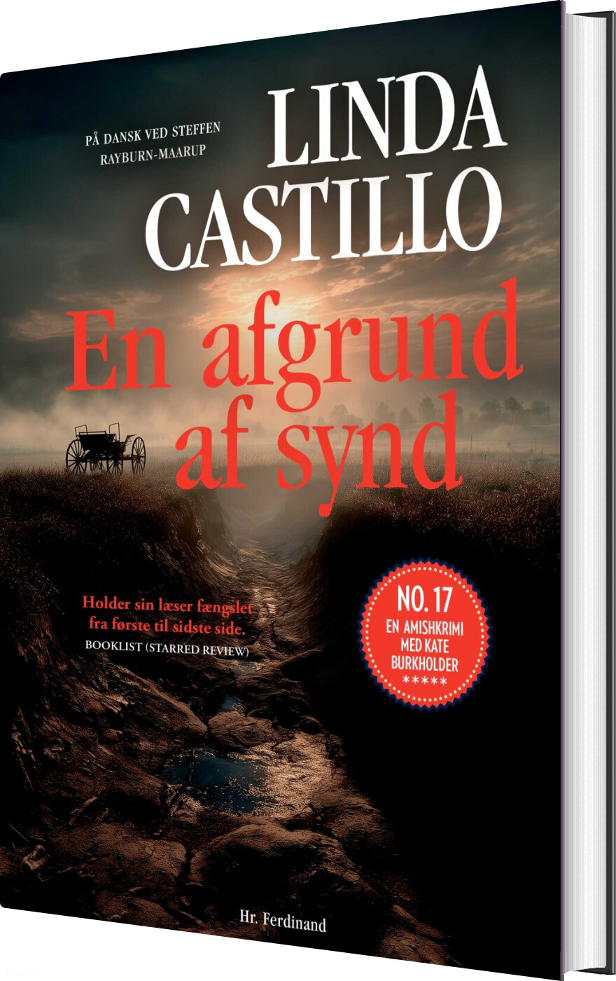 En Afgrund Af Synd - Linda Castillo - Bog