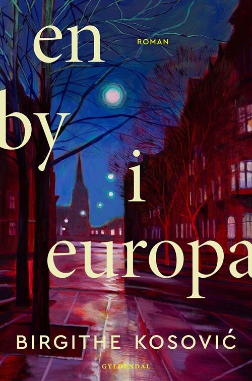 En By I Europa - Birgithe Kosovic - Bog