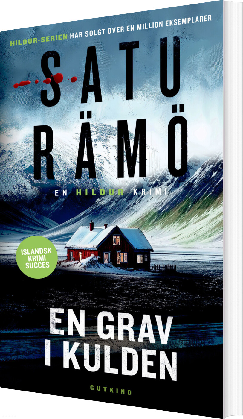 En Grav I Kulden - Satu Rämö - Bog