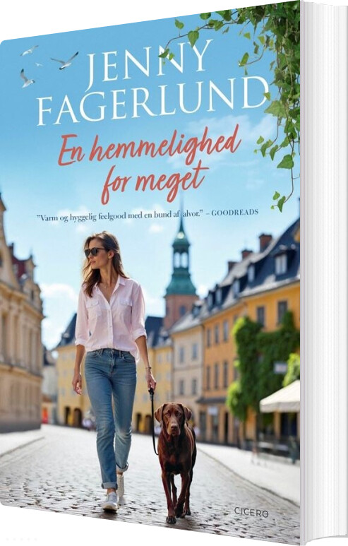 En Hemmelighed For Meget - Jenny Fagerlund - Bog