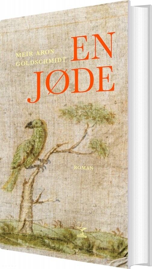 En Jøde - Meïr Aron Goldschmidt - Bog