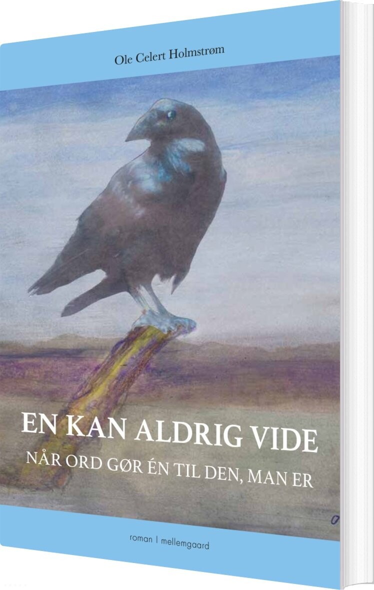 En Kan Aldrig Vide - Ole Celert Holmstrøm - Bog