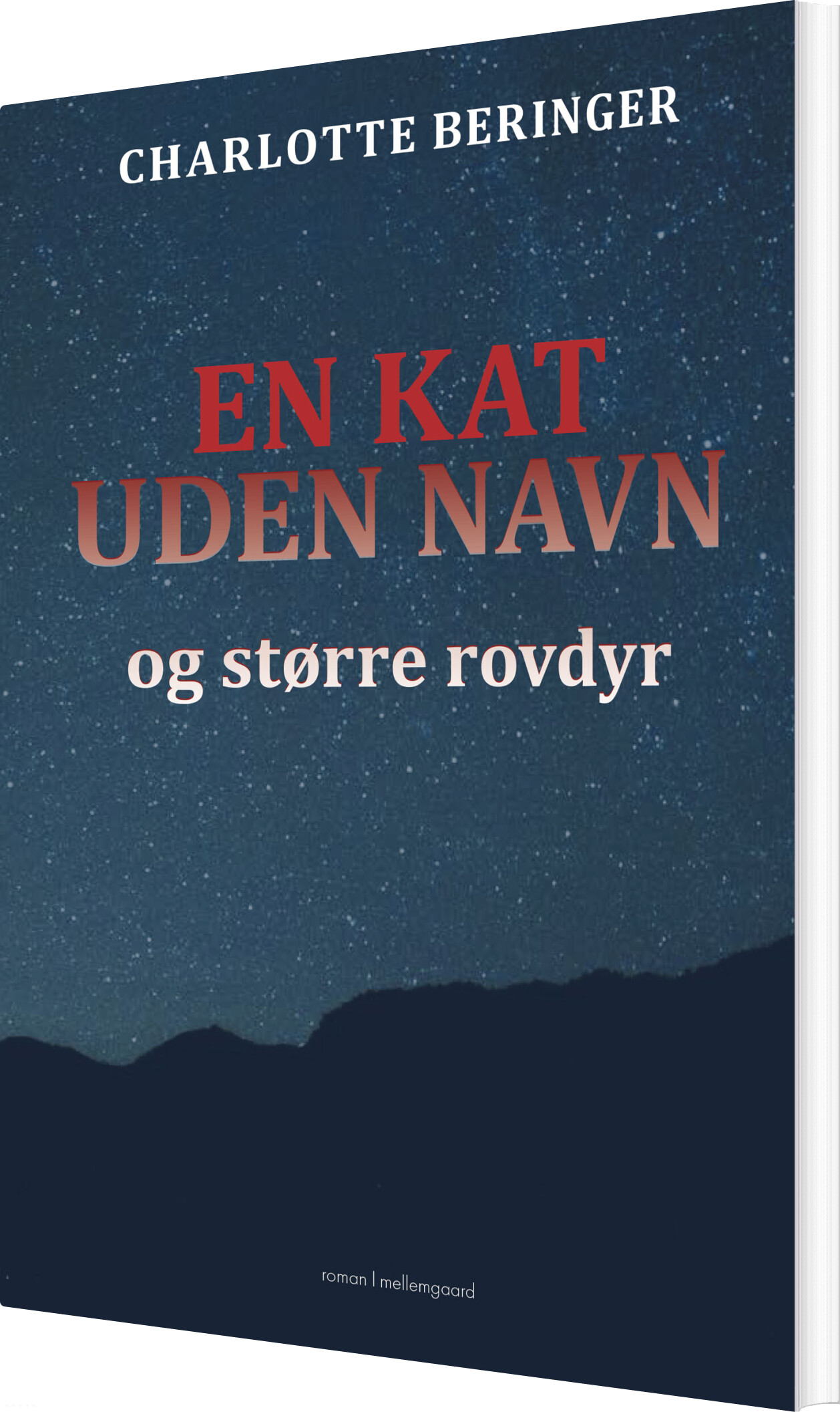 En Kat Uden Navn - Charlotte Beringer - Bog