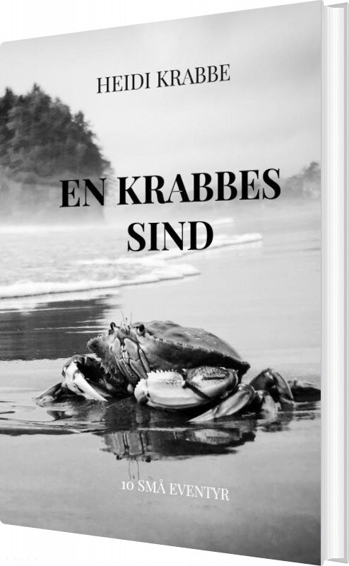 Billede af En Krabbes Sind - Heidi Krabbe - Bog