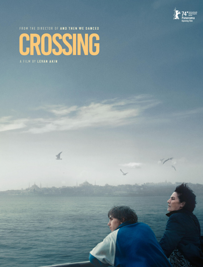 Crossing / En Kvinde I Istanbul - DVD - Film