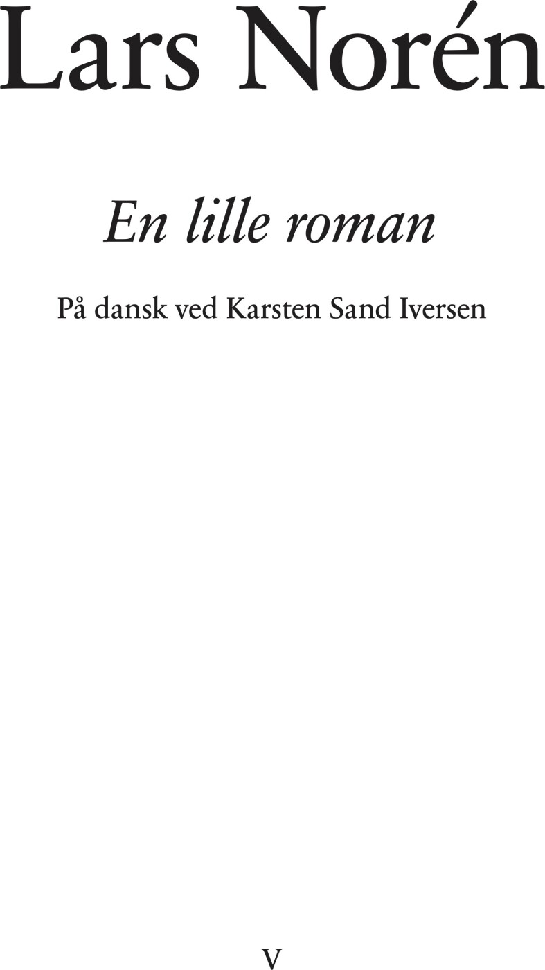 En Lille Roman - Lars Norén - Bog