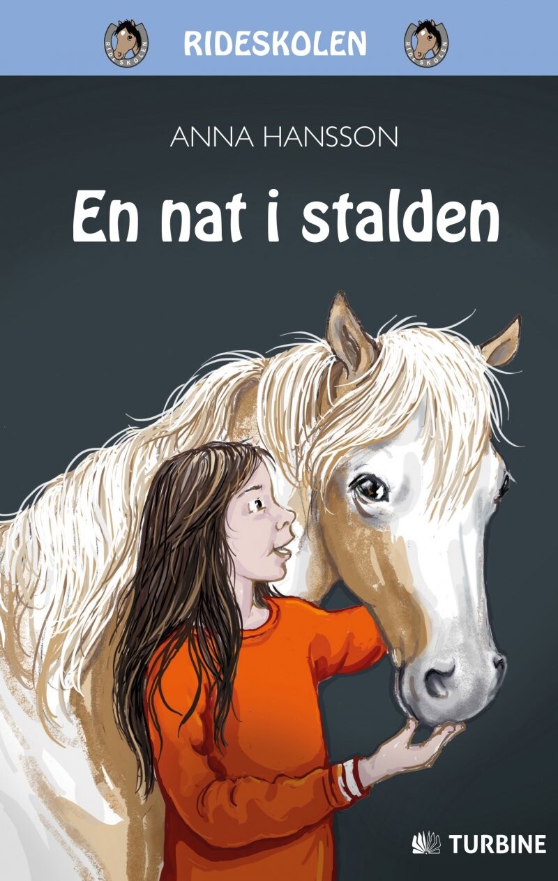 En Nat I Stalden - Anna Hansson - Bog