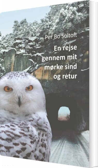 Billede af En Rejse Gennem Mit Mørke Sind Og Retur - Per Bo Soltoft - Bog