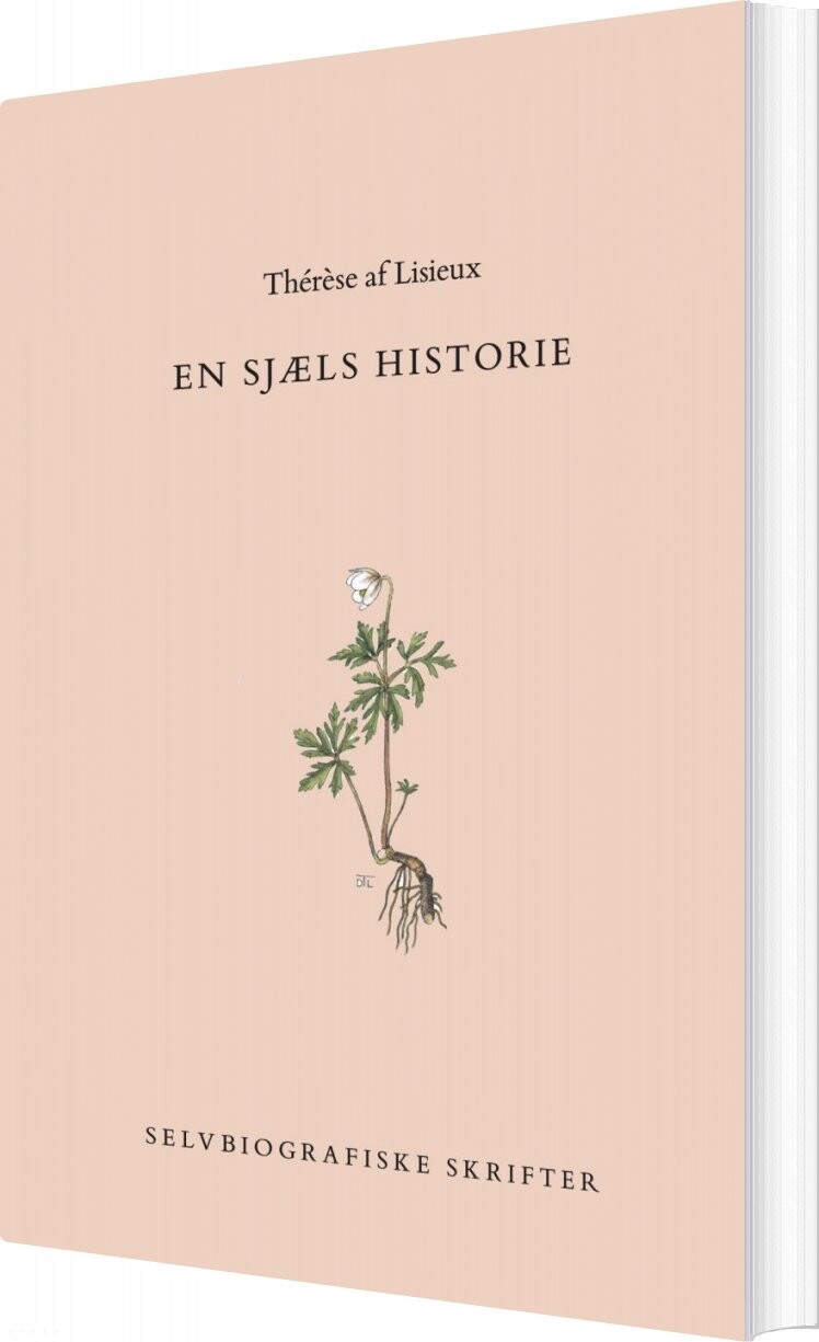 Billede af En Sjæls Historie - Thérèse Af Lisieux - Bog