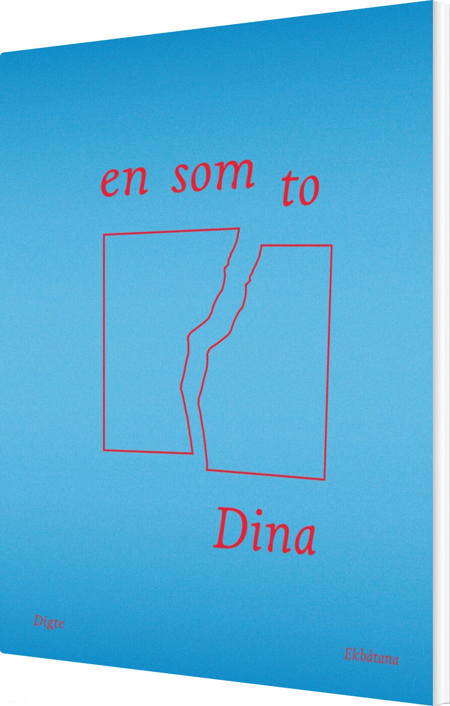 Billede af En Som To - Dina - Bog