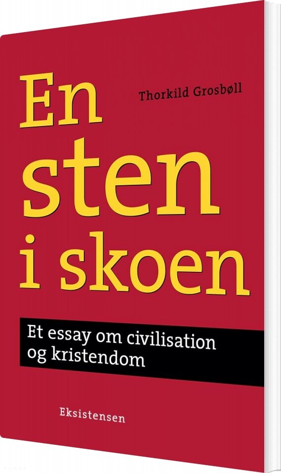 Billede af En Sten I Skoen - Thorkild Grosbøll - Bog