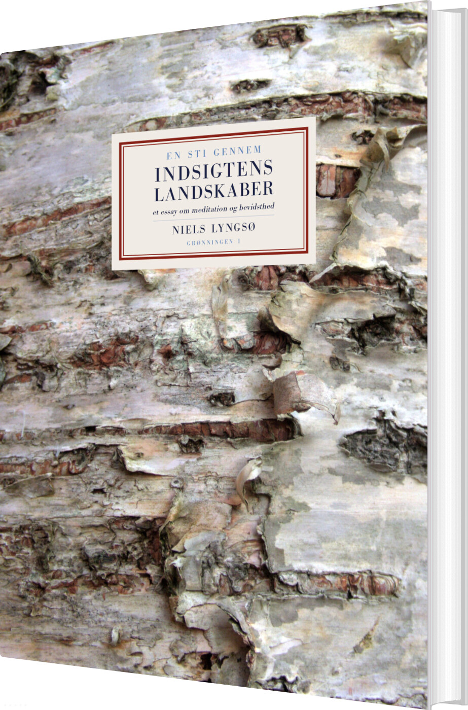 Billede af En Sti Gennem Indsigtens Landskaber - Niels Lyngsø - Bog