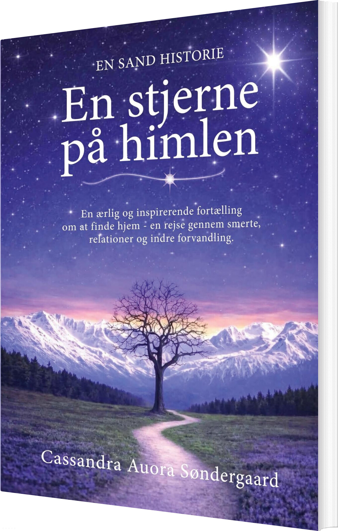 En Stjerne På Himlen - Cassandra Søndergaard - Bog