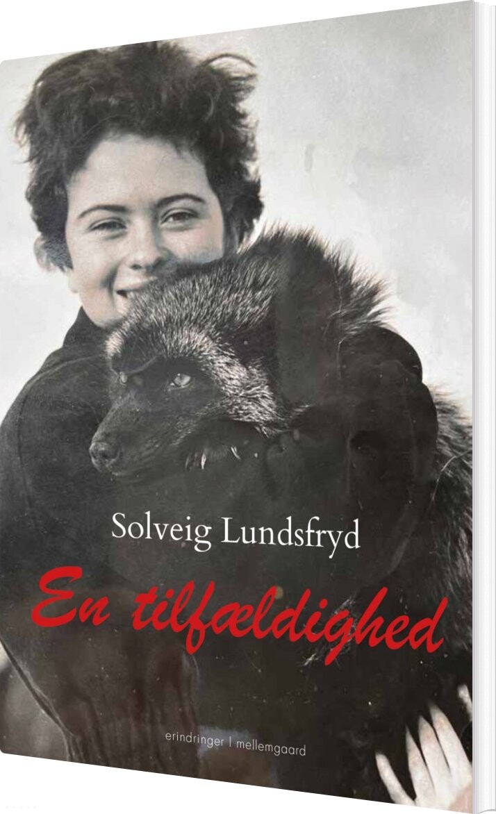 En Tilfældighed - Solveig Lundsfryd - Bog