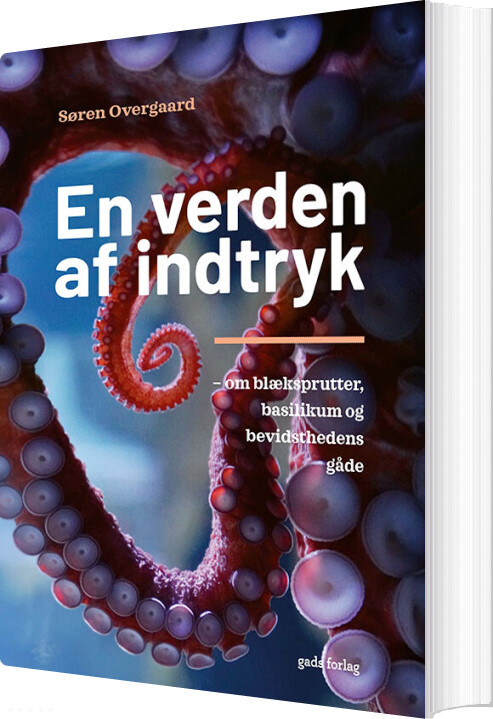 Billede af En Verden Af Indtryk - Søren Overgaard - Bog
