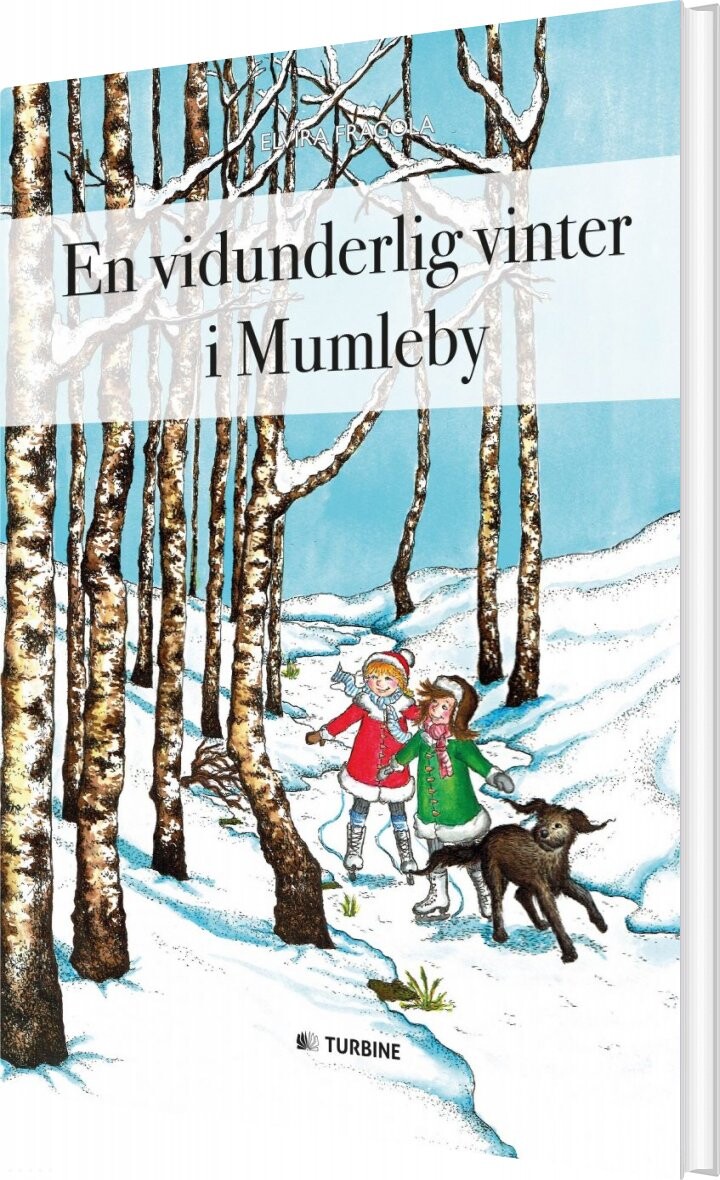 En Vidunderlig Vinter I Mumleby - Elvira Fragola - Bog