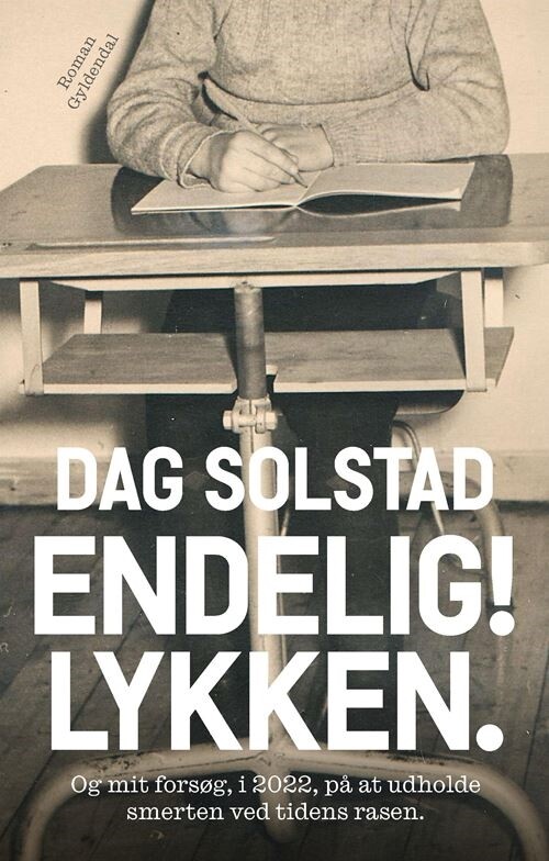 Endelig! Lykken - Dag Solstad - Bog
