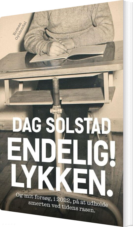 Endelig! Lykken - Dag Solstad - Bog