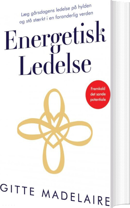 Energetisk Ledelse - Gitte Madelaire - Bog