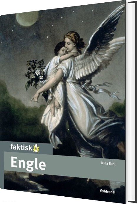 Billede af Engle - Nina Sahl - Bog