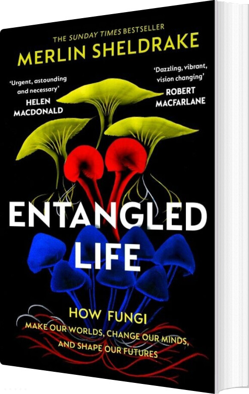 Billede af Entangled Life - Merlin Sheldrake - English Book