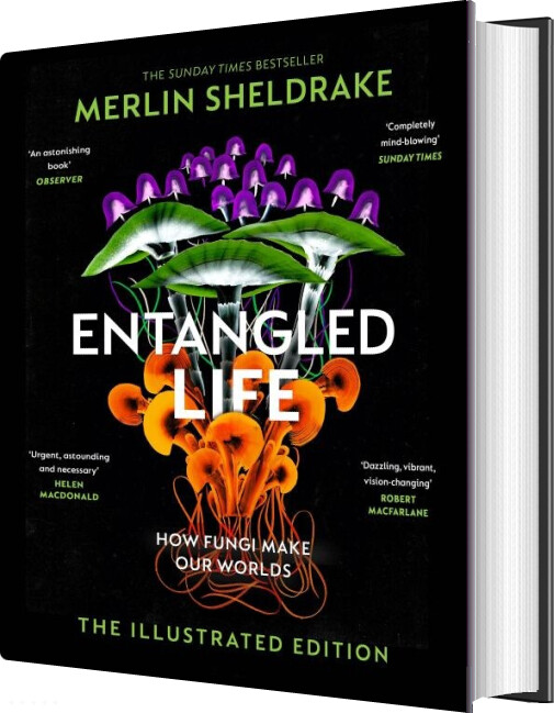 Billede af Entangled Life - The Illustrated Edition - Merlin Sheldrake - English Book