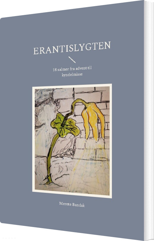 Billede af Erantislygten - Merete Bandak - Bog