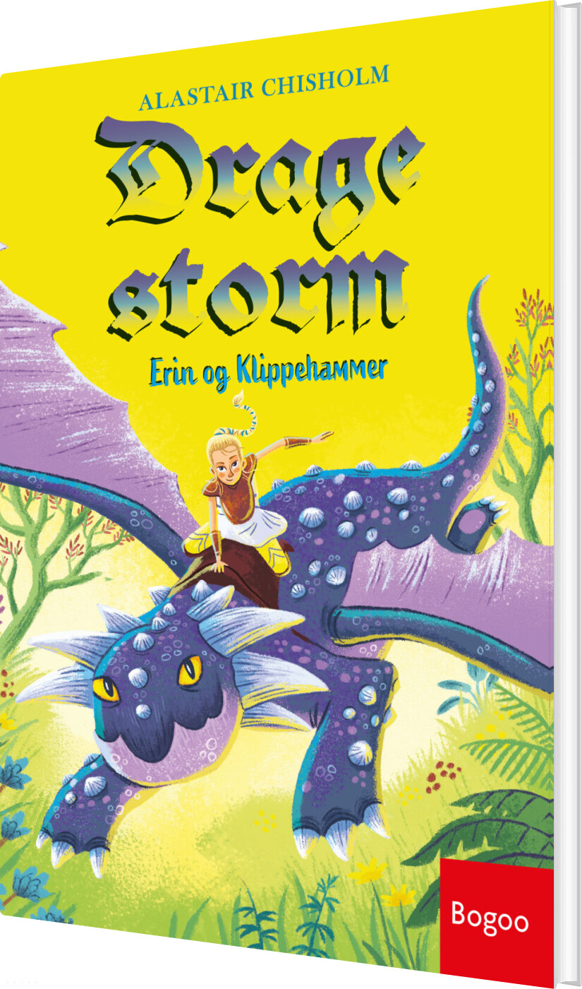 Erin Og Klippehammer - Alistair Chisholm - Bog