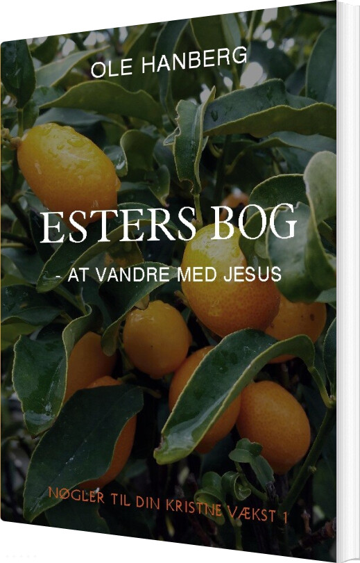 Esters Bog - Ole Hanberg - Bog