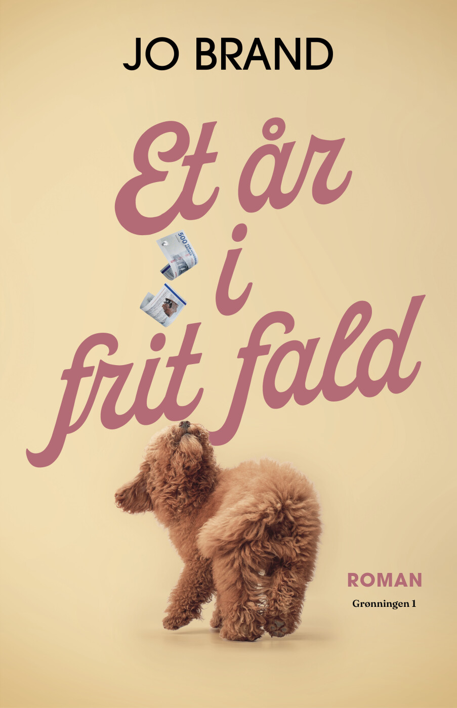 Billede af Et år I Frit Fald - Jo Brand - Bog