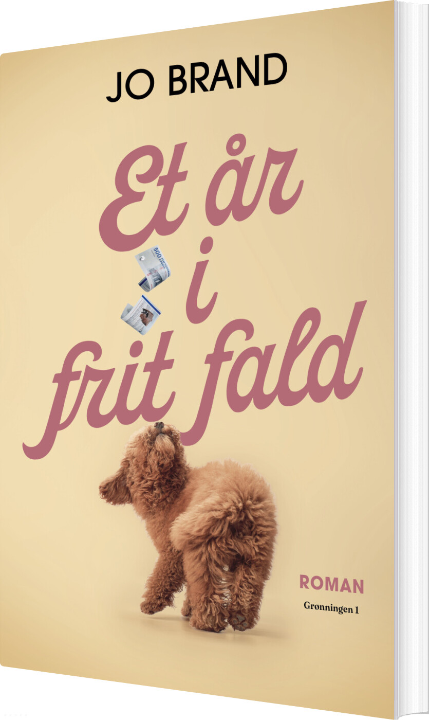 Et år I Frit Fald - Jo Brand - Bog